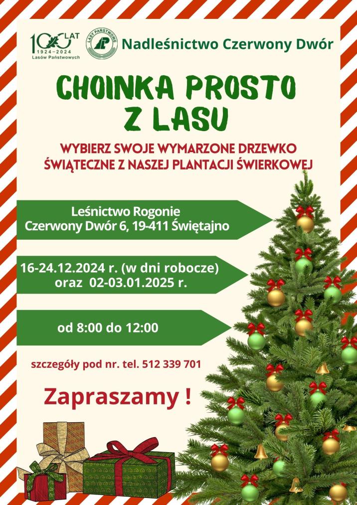 Choinka&#x20;prosto&#x20;z&#x20;lasu