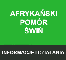 Afykański pomór świń