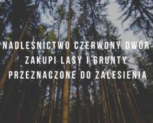 NABYWAMY LASY I GRUNTY PRZEZNACZONE DO ZALESIENIA